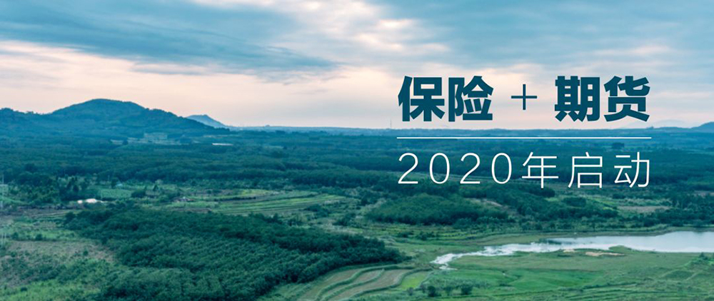 1600243857061084786.jpg 11.jpg